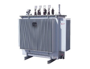 trasformatore: S9\S11\S13 Trasformatori riempiti con liquido